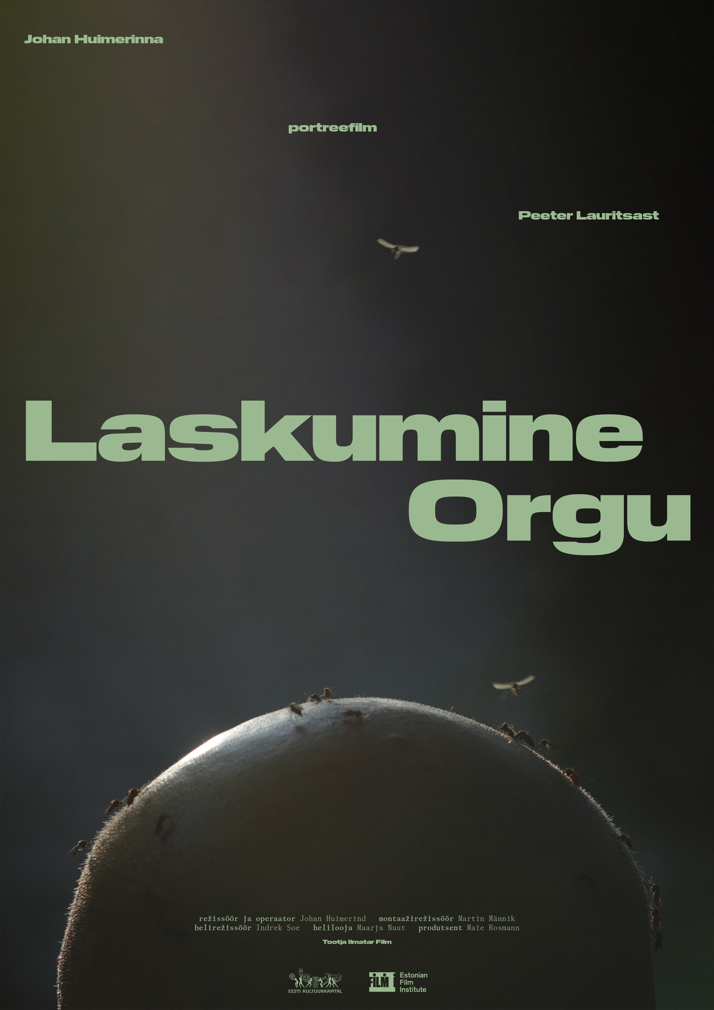 Laskumine orgu