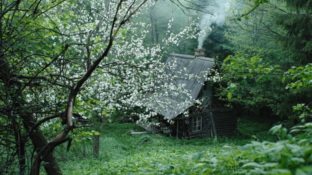 Tartu Filmifond avas kevadise taotlusvooru